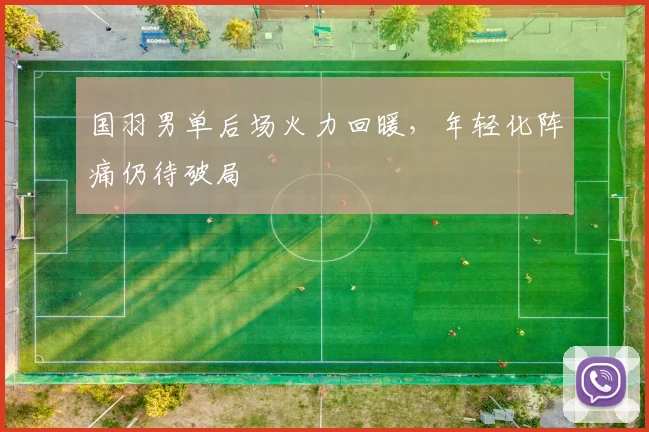 国羽男单后场火力回暖，年轻化阵痛仍待破局