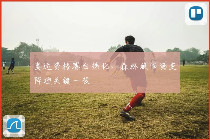 奥运资格赛白热化，森林狼临场变阵迎关键一役