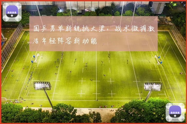 国乒男单新锐挑大梁，战术微调激活年轻阵容新动能