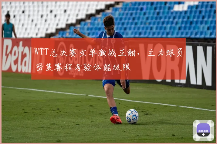 WTT总决赛女单激战正酣，主力球员密集赛程考验体能极限